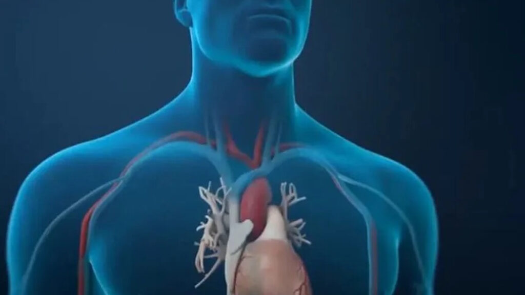 Tromboz ve damar tıkanıklığı riski artıyor! Bu hastalıklar insan yaşamı için büyük tehdit